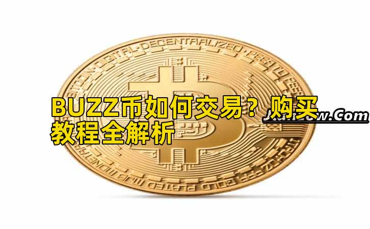 BUZZ币如何交易？购买教程全解析插图