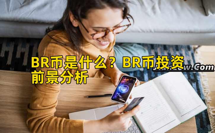 BR币是什么?BR币投资前景分析插图 BR币是什么?BR币投资前景分析插图