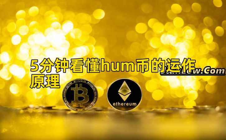 5分钟看懂hum币的运作原理插图 5分钟看懂hum币的运作原理插图