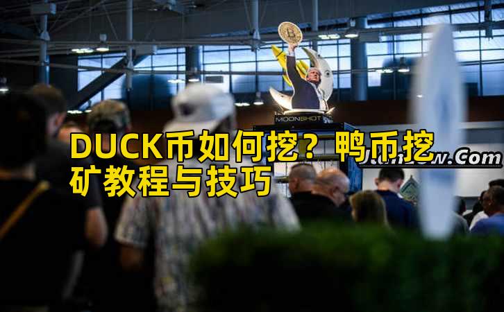 DUCK币如何挖？鸭币挖矿教程与技巧插图