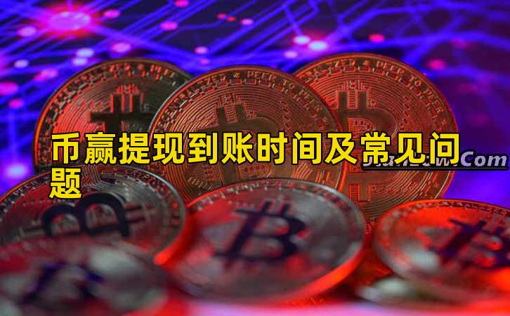 币赢提现到账时间及常见问题插图 币赢提现到账时间及常见问题插图