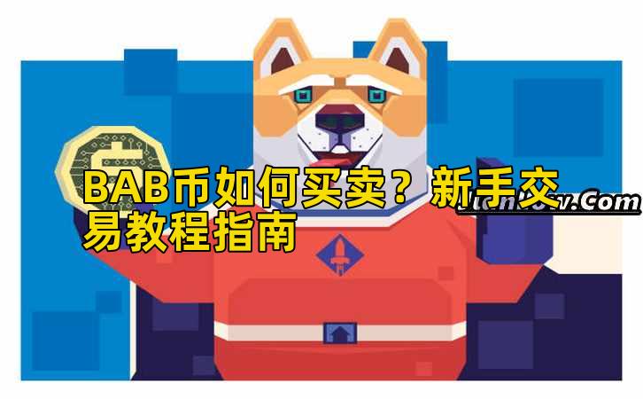 BAB币如何买卖？新手交易教程指南插图