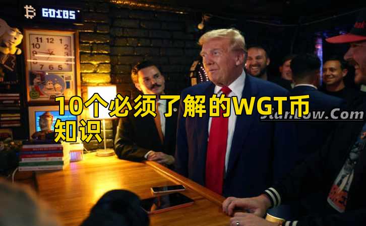 10个必须了解的WGT币知识插图