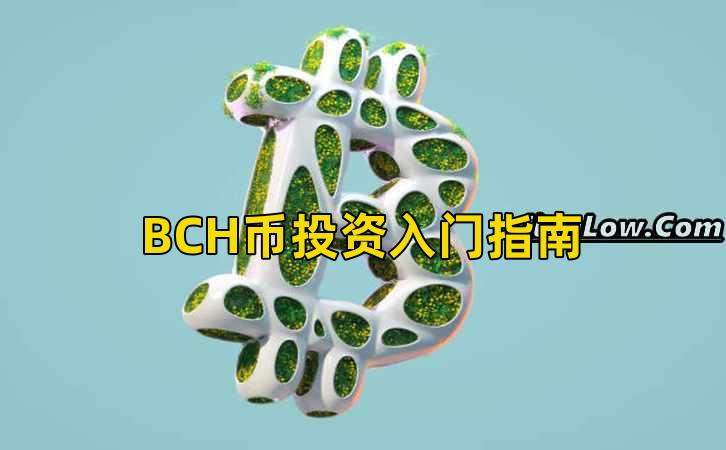 BCH币投资入门指南插图 BCH币投资入门指南插图