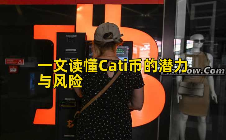 一文读懂Cati币的潜力与风险插图 一文读懂Cati币的潜力与风险插图