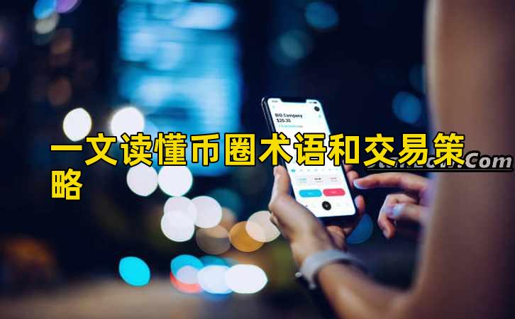 一文读懂币圈术语和交易策略插图