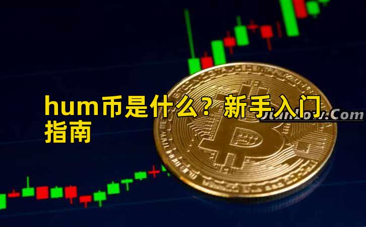 hum币是什么?新手入门指南插图 hum币是什么?新手入门指南插图