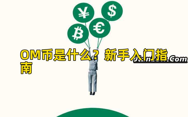 OM币是什么？新手入门指南插图