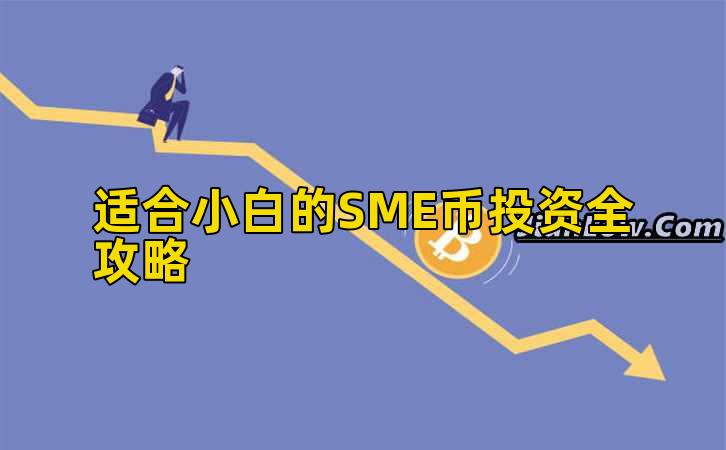 适合小白的SME币投资全攻略插图