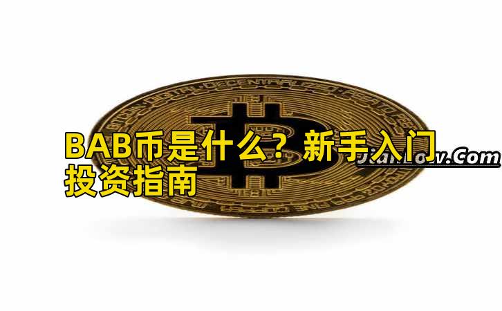 BAB币是什么？新手入门投资指南插图