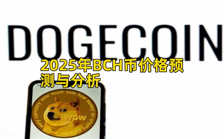 2025年BCH币价格预测与分析插图 2025年BCH币价格预测与分析插图