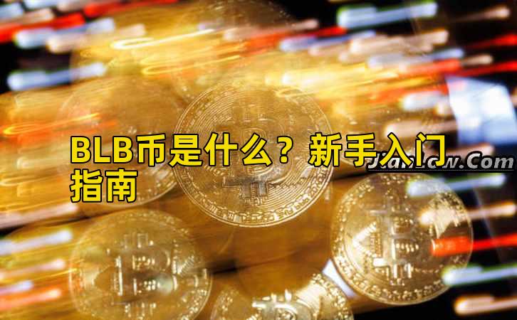 BLB币是什么？新手入门指南插图