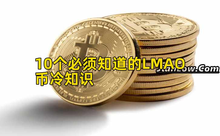 10个必须知道的LMAO币冷知识插图