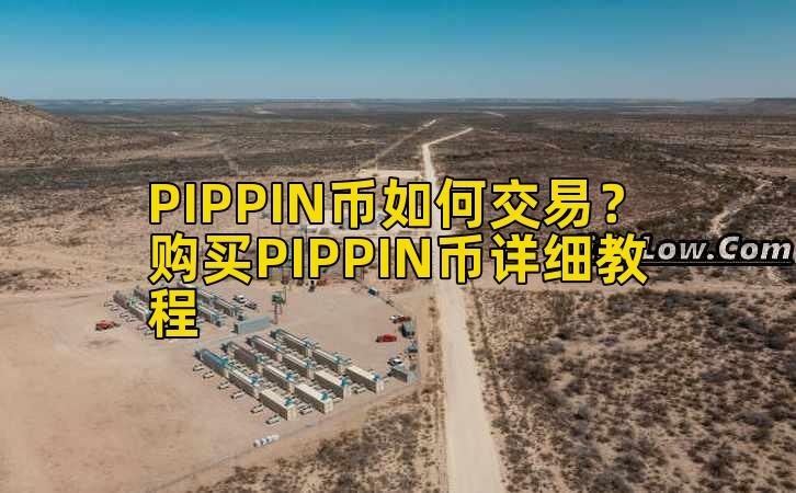 PIPPIN币如何交易?购买PIPPIN币详细教程插图 PIPPIN币如何交易?购买PIPPIN币详细教程插图