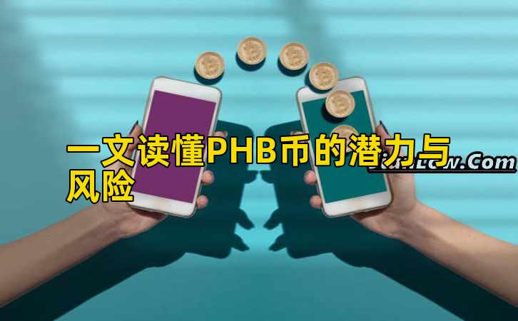 一文读懂PHB币的潜力与风险插图