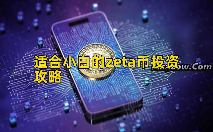 适合小白的zeta币投资攻略插图