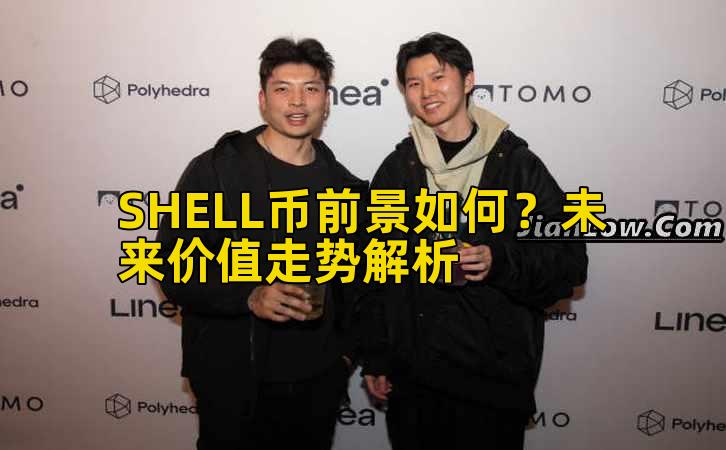 SHELL币前景如何？未来价值走势解析插图