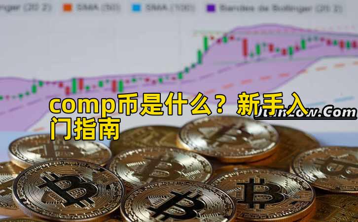 comp币是什么？新手入门指南插图