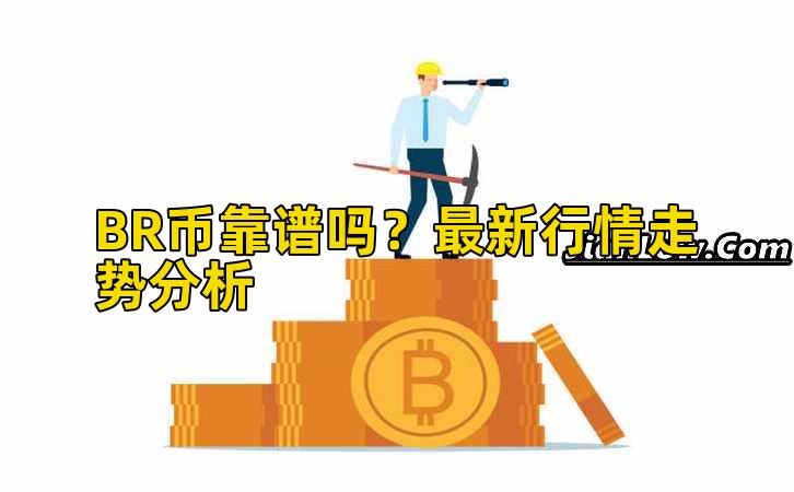BR币靠谱吗？最新行情走势分析插图