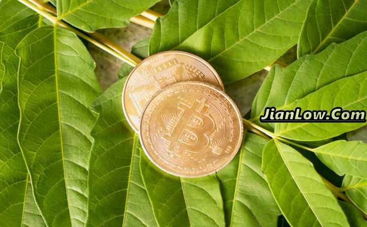 狗狗币每年增发是怎样分配？狗狗币增发分配规则插图
