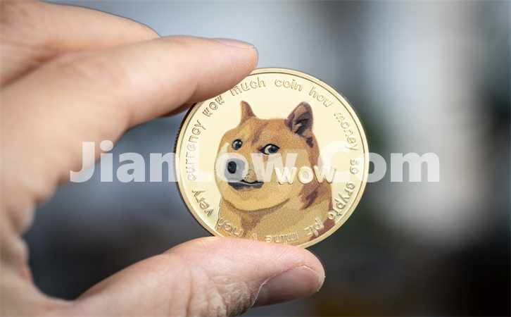 doge币可以在哪个平台买(虚拟币交易平台用户体验评测)