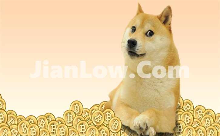 doge币去哪个平台购买(交易app使用技巧介绍)