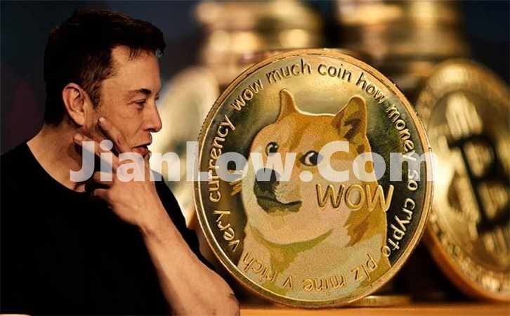 doge币初期怎么购(加密货币交易所全面评测)