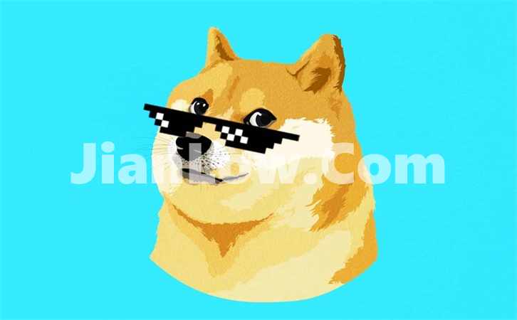 买doge币有哪些平台好(虚拟货币交易平台使用指南)