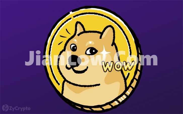 doge币平台买的怎么存储(虚拟资产交易平台app)