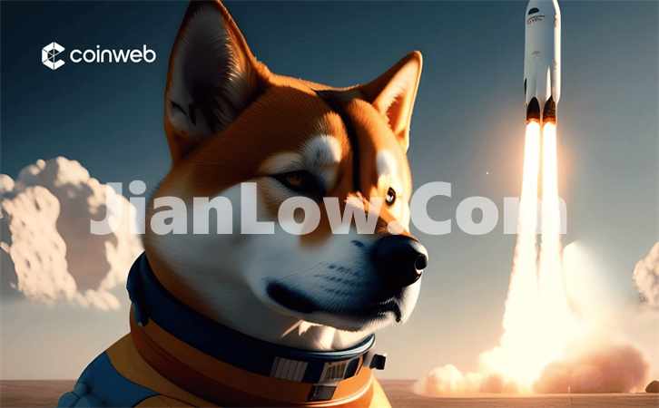 doge币不加杠杆怎么买(数字资产交易app功能详解)插图