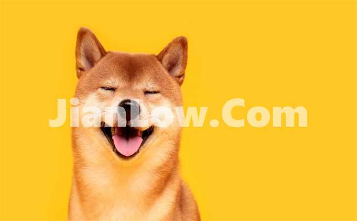 doge币个人怎么买卖交易(数字资产交易所优势分析)