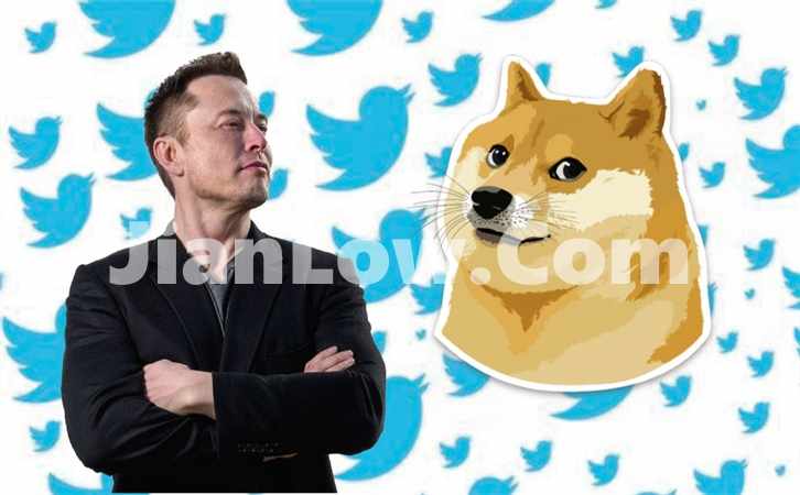 doge币在哪个平台买便宜(安全便捷的加密货币交易app)