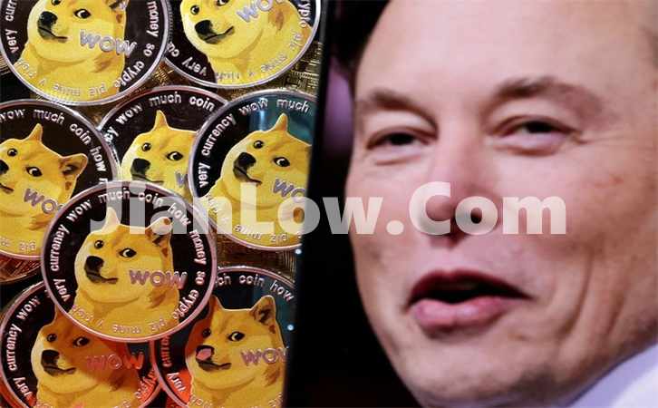doge币去哪购买划算呢(交易所数字资产应用程序)