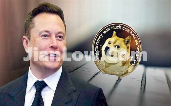 买doge币哪个平台最好(多元化虚拟货币交易软件)插图