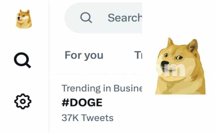 doge币怎么买卖交易的(比特币软件使用攻略分享)