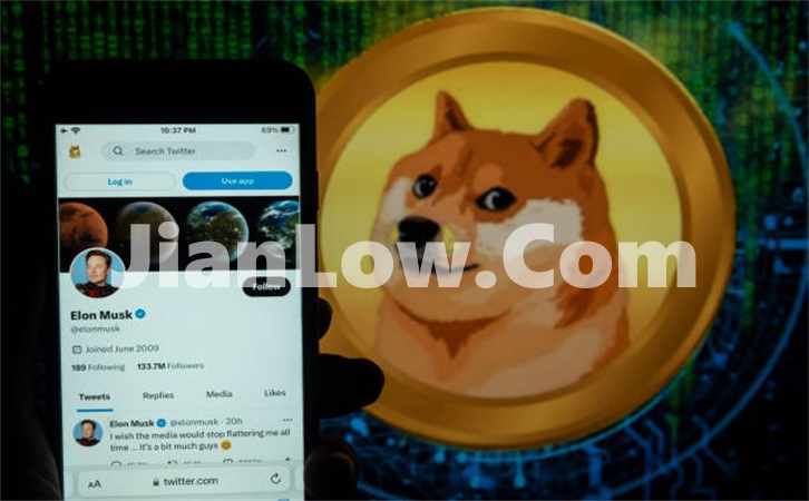 doge币购买记录在哪里看(数字资产交易软件导览)
