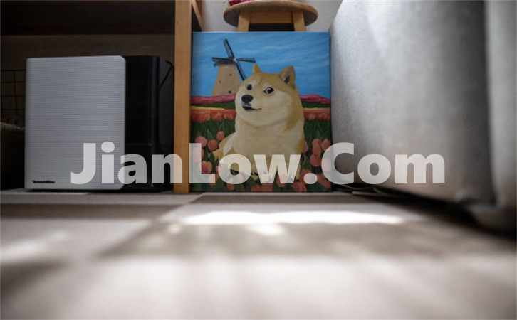 doge币的购买平台是什么(交易所软件介绍评测)