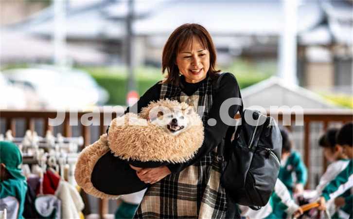 doge币怎么买卖交易的(比特币软件使用攻略分享)