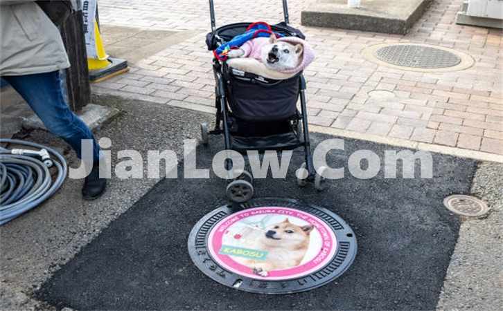 doge币在中币网怎么买(交易客户端性能强大稳定)