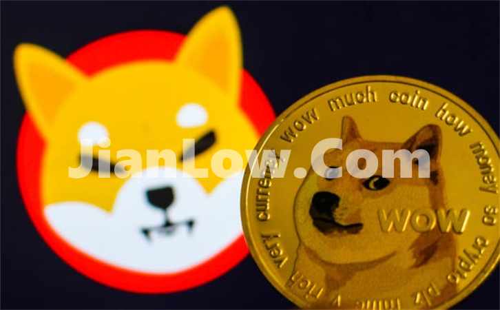 买doge币的软件怎么看(虚拟货币交易所一键交易)