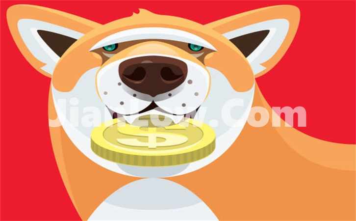 买doge币用哪个平台(虚拟币交易市场新趋势)