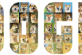 狗狗币在2021年飙升的原因是什么?能在2024重演吗? 狗狗币在2021年飙升的原因是什么?能在2024重演吗?