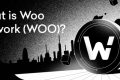 WOO币这个币还有希望吗?WOO币未来还能涨吗? WOO币这个币还有希望吗?WOO币未来还能涨吗?