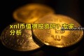 xnl币值得投资吗？专家分析