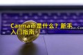 Carma币是什么？新手入门指南