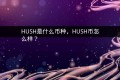 HUSH是什么币种,HUSH币怎么样?
