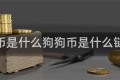 狗狗币是什么狗狗币是什么链上的