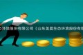 山东美晨生态环境股份有限公司（山东美晨生态环境股份有限公司年报）