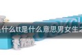 tt是什么tt是什么意思男女生之间