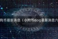 dog小狗币最新消息（小狗币dog最新消息六月份）